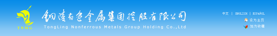 铜陵MK金属集团控股有限公司