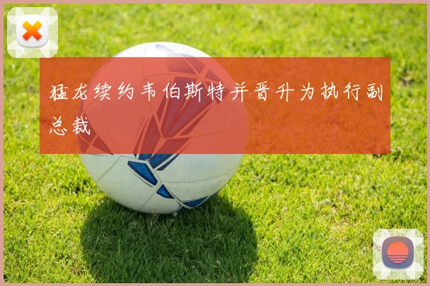 猛龙续约韦伯斯特并晋升为执行副总裁